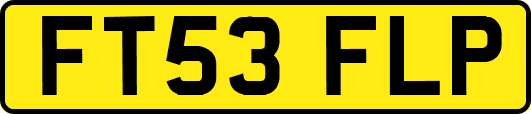 FT53FLP