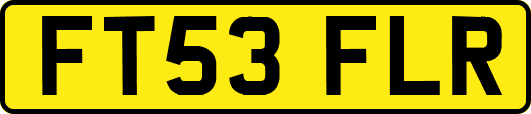 FT53FLR