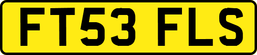 FT53FLS