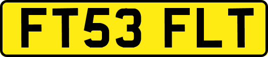 FT53FLT