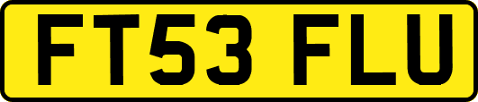 FT53FLU