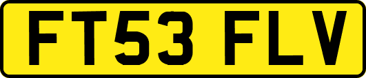 FT53FLV