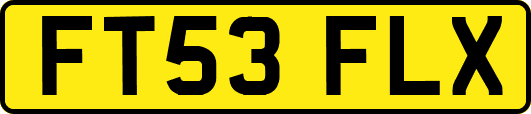 FT53FLX