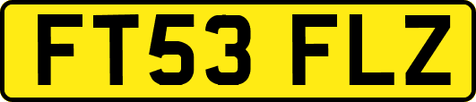 FT53FLZ
