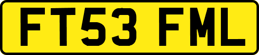 FT53FML