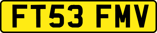 FT53FMV