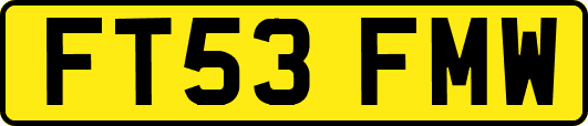 FT53FMW