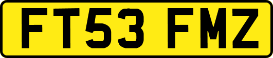 FT53FMZ