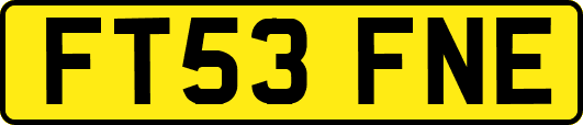 FT53FNE