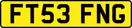 FT53FNG