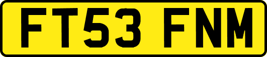 FT53FNM
