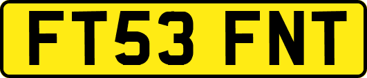 FT53FNT