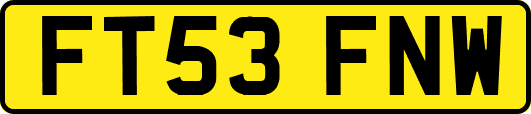 FT53FNW