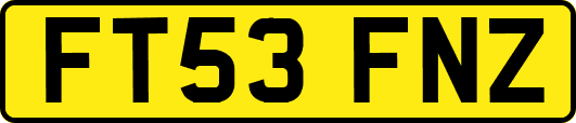 FT53FNZ