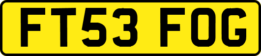FT53FOG