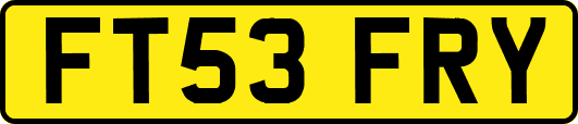 FT53FRY