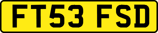 FT53FSD