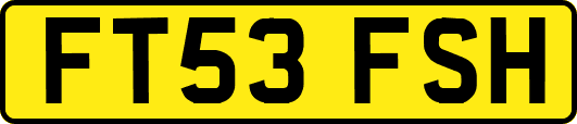 FT53FSH