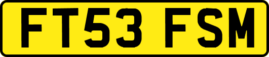 FT53FSM