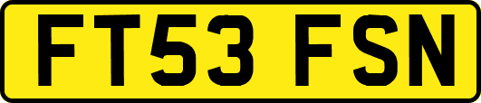 FT53FSN