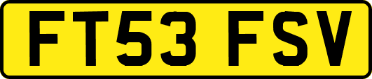FT53FSV
