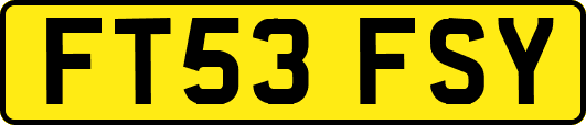FT53FSY