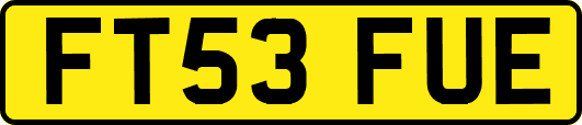 FT53FUE