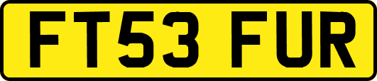 FT53FUR