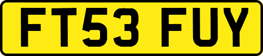 FT53FUY