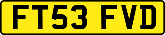 FT53FVD