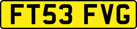 FT53FVG