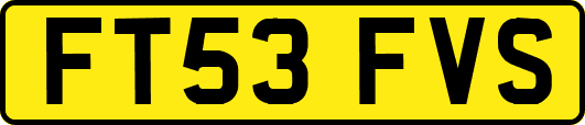 FT53FVS