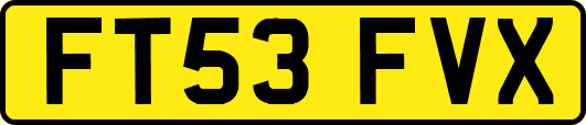 FT53FVX