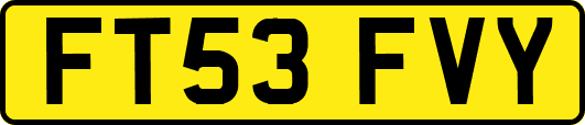 FT53FVY