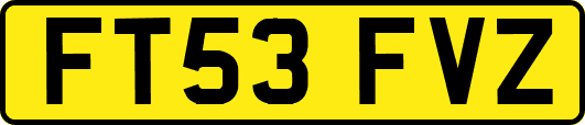 FT53FVZ