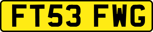FT53FWG