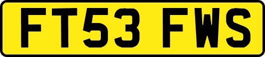 FT53FWS