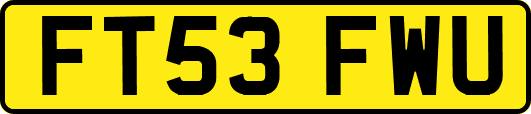 FT53FWU