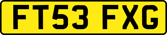 FT53FXG