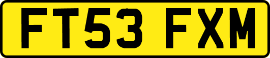 FT53FXM
