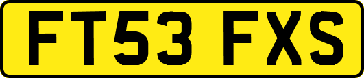 FT53FXS