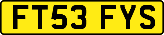 FT53FYS