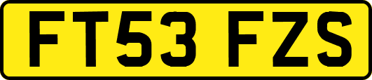 FT53FZS