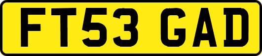 FT53GAD
