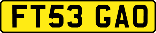 FT53GAO