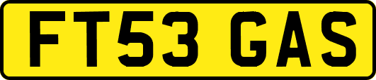 FT53GAS