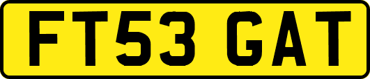 FT53GAT