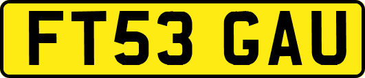 FT53GAU