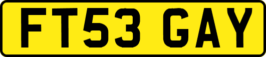FT53GAY