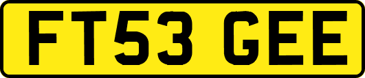 FT53GEE